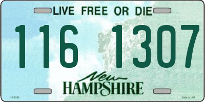 NH license plate 1161307