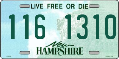 NH license plate 1161310