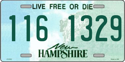 NH license plate 1161329