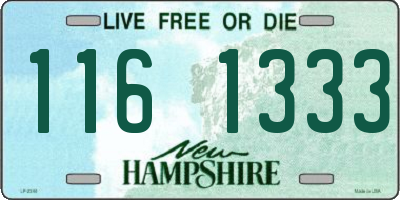 NH license plate 1161333