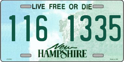 NH license plate 1161335