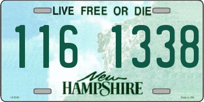 NH license plate 1161338