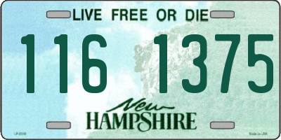 NH license plate 1161375