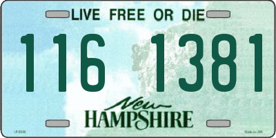 NH license plate 1161381
