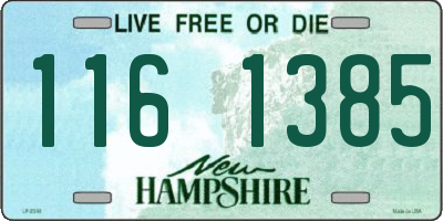 NH license plate 1161385