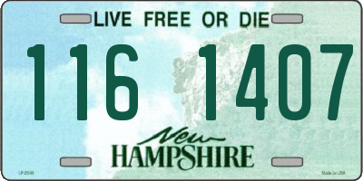 NH license plate 1161407