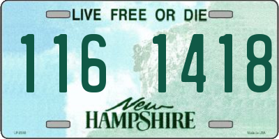 NH license plate 1161418
