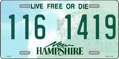 NH license plate 1161419