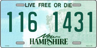 NH license plate 1161431