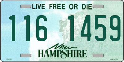 NH license plate 1161459