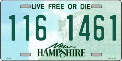 NH license plate 1161461
