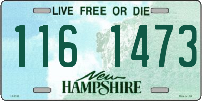 NH license plate 1161473