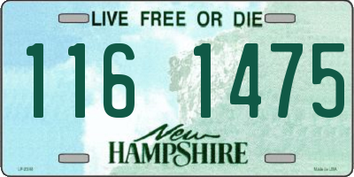 NH license plate 1161475