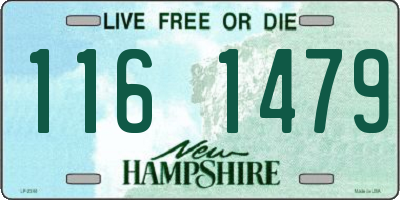 NH license plate 1161479
