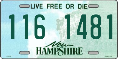 NH license plate 1161481