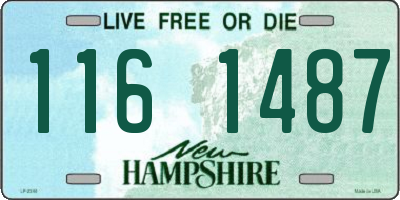 NH license plate 1161487