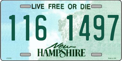 NH license plate 1161497