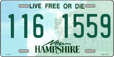 NH license plate 1161559