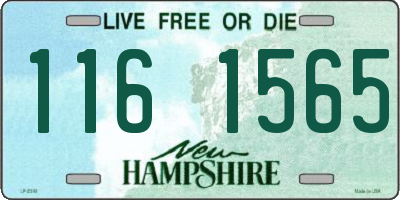 NH license plate 1161565