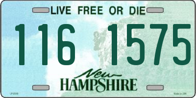 NH license plate 1161575