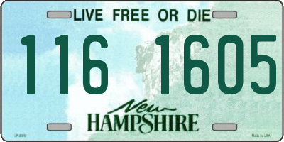 NH license plate 1161605