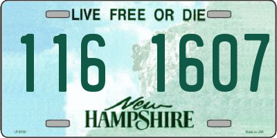 NH license plate 1161607