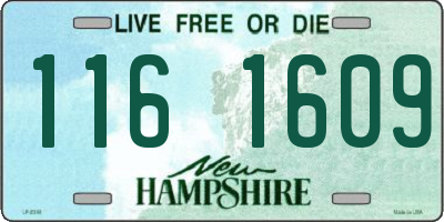 NH license plate 1161609