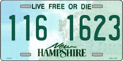NH license plate 1161623
