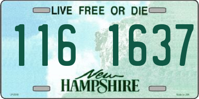 NH license plate 1161637