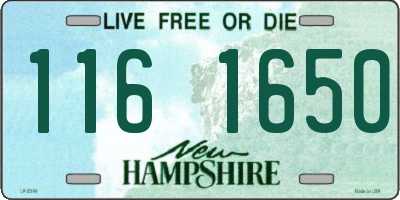 NH license plate 1161650