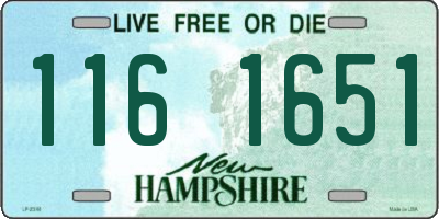 NH license plate 1161651