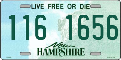 NH license plate 1161656
