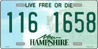 NH license plate 1161658