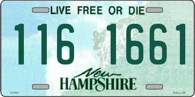 NH license plate 1161661