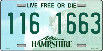 NH license plate 1161663