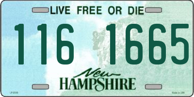 NH license plate 1161665