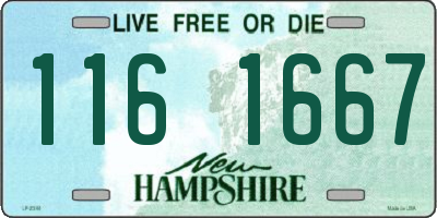 NH license plate 1161667