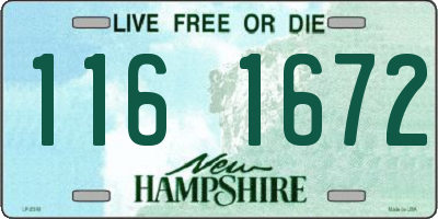 NH license plate 1161672