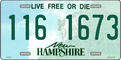 NH license plate 1161673