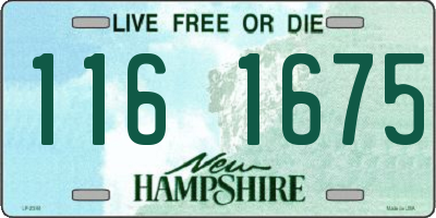 NH license plate 1161675