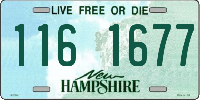 NH license plate 1161677