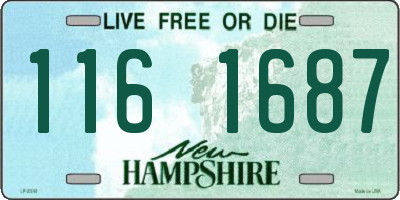 NH license plate 1161687