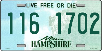 NH license plate 1161702