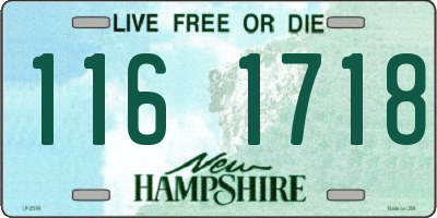 NH license plate 1161718