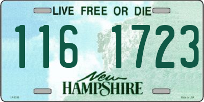 NH license plate 1161723