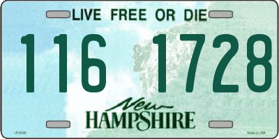 NH license plate 1161728