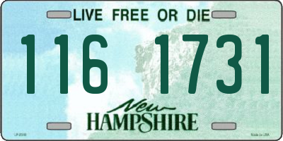 NH license plate 1161731