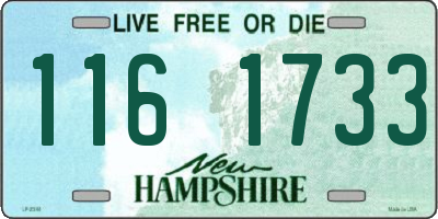 NH license plate 1161733