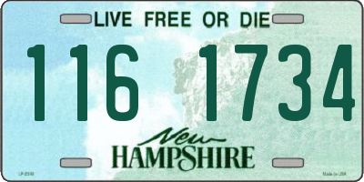 NH license plate 1161734