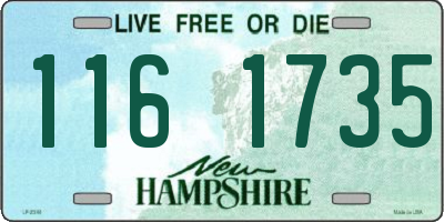 NH license plate 1161735